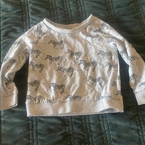 Kids Zebra Print Gray Sweatshirt